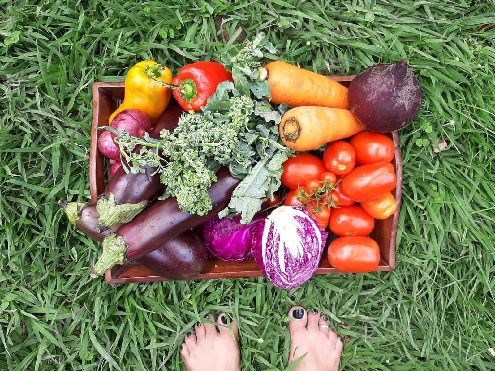 Jornal Correio Ind Stria De Alimentos A Que Mais Emprega No Brasil