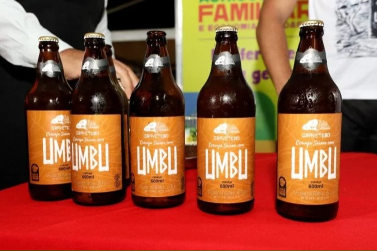 Jornal Correio Cerveja De Umbu Produzida Pela Agricultura Familiar Da