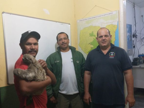 Ambientalistas que resgataram o animal por Divulgação/Gads