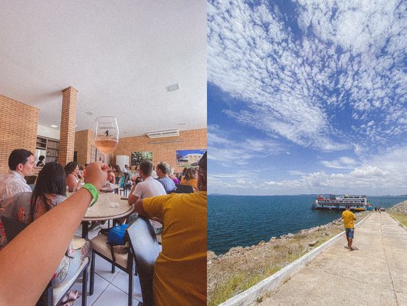Terranova por divulgação