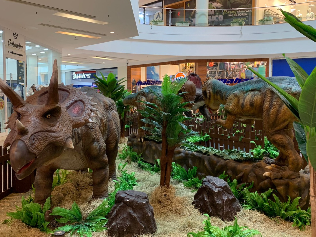 Lugares secretos de prédio tombado e dinossauros gigantes são atrações de  shoppings - 25/06/2018 - sãopaulo - Folha de S.Paulo