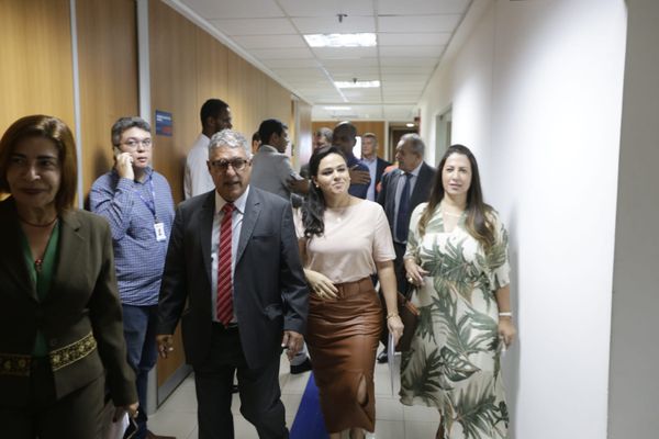 aline peixoto por arisson