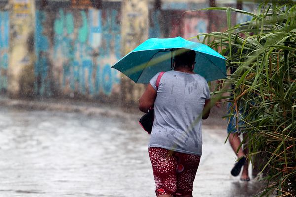 Nas últimas 24 horas, o Instituto Nacional de Meteorologia (Inmet) indicou que 34,8 mm de chuva caíram em Salvador, com ventos de velocidade média de 28,8 km/h.