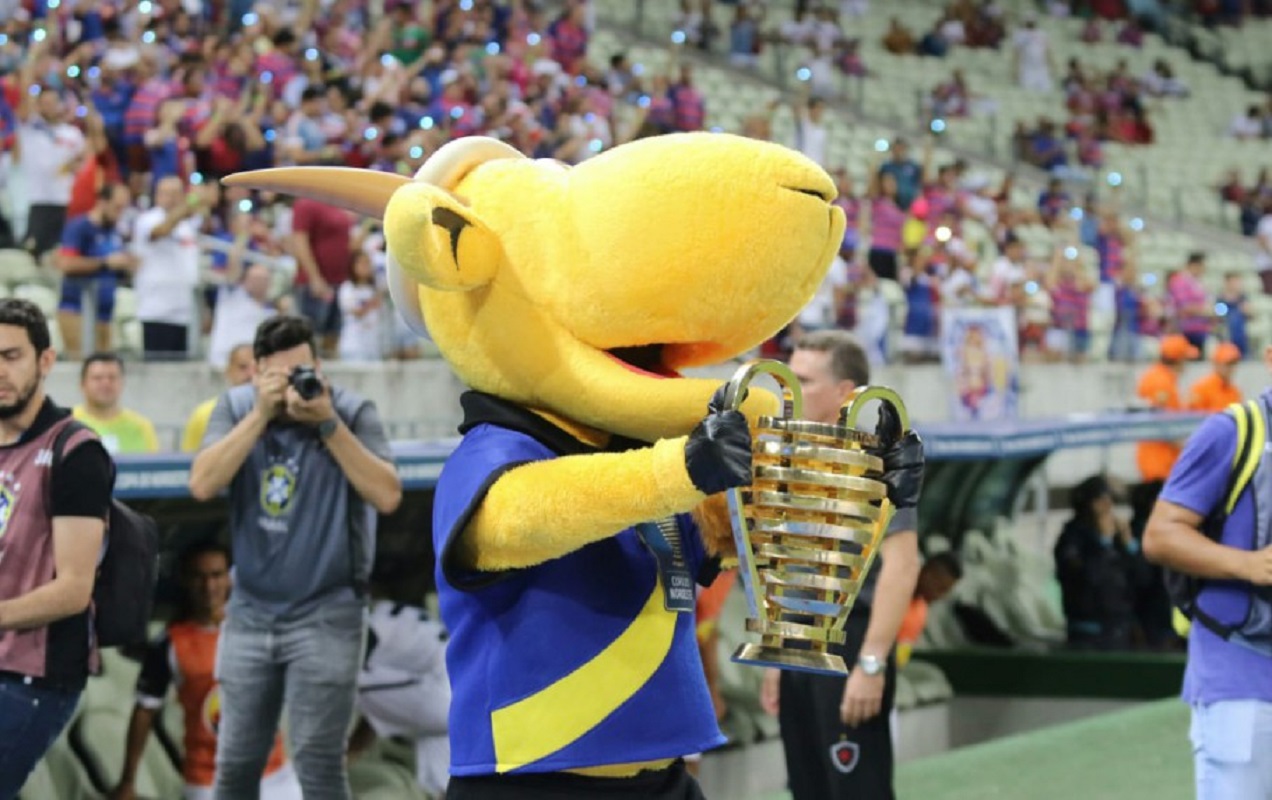 Copa do Brasil: jogo único é atração na estreia - Confederação Brasileira de  Futebol