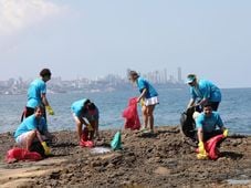 Imagem - Quando o voluntariado se torna estratégia: reflexões de quem acredita no poder de transformar vidas