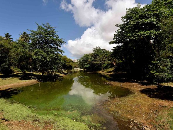 Parque Lagoa dos Pássaros, no Stiep por Foto: Divulgação/Prefeitura de Salvador