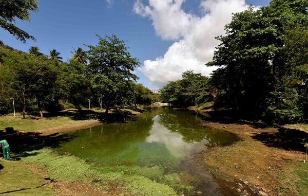 Parque Lagoa dos Pássaros, também na região do Stiep, abre de terça-feira a domingo, das 6h às 18h. por Foto: Divulgação/Prefeitura de Salvador