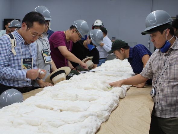 Empresários estrangeiros analisam de perto qualidade do algodão brasileiro. Países asiáticos são os principais compradores. por (Foto: ABAPA)