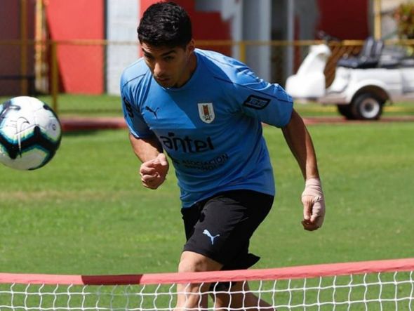 Suárez, outro homem-gol uruguaio por AUF / Divulgação