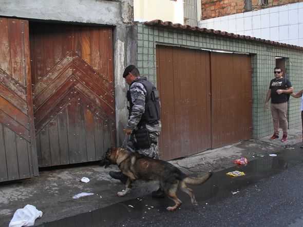 Cão farejador também foi usado durante operação policial pela manhã por Foto: Evandro Veiga/CORREIO
