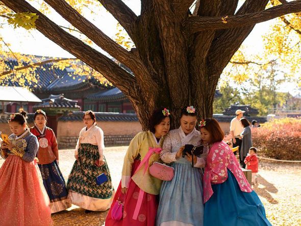 Visitantes vestidas com as tradicionais hanbok posam para fotos sob árvores de ginkgo no palácio Gyeongbokgung em Seul. por Ed JONES / AFP