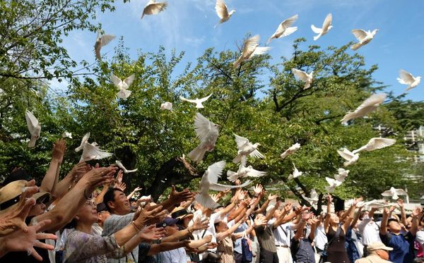Seu cheiro marcante afasta as aves e ajuda a proteger janelas, varandas e sacadas por KAZUHIRO NOGI / AFP