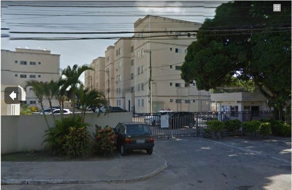 Jardim das Margaridas (parte)