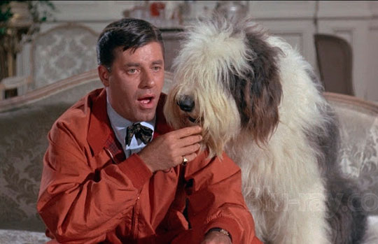 Errado pra Cachorro (1963) é mais uma parceria com o diretor Frank Tashlin
