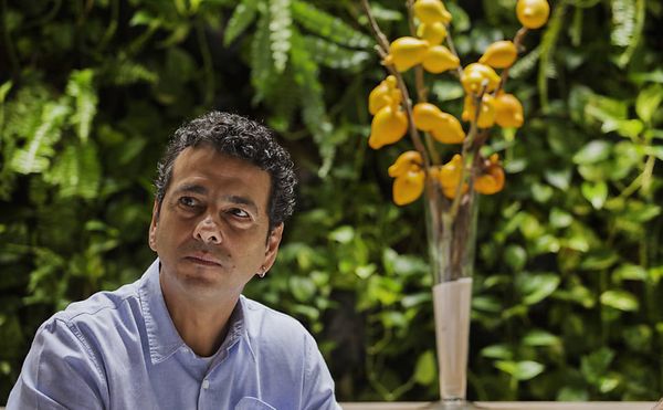 Marcos Palmeira por Divulgação