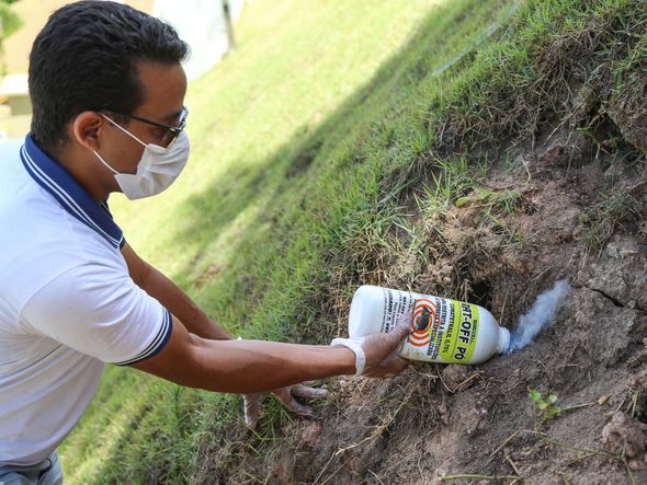 . por Fotos de Bruno Concha/Secom/SMS