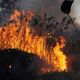 Imagem - Quase 1/4 do território brasileiro pegou fogo nos últimos 40 anos
