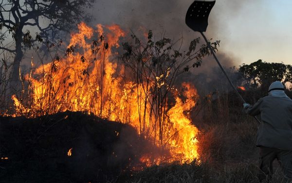 As queimadas são proibidas pelos estados nessa época do ano. Incêndios são frutos de irresponsabilidades e má fé