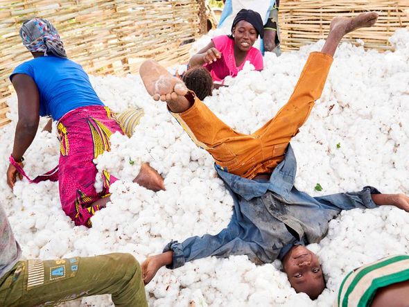 Crianças de Mali se divertem em uma pilha de algodão durante a colheita. por MICHELE CATTANI / AFP