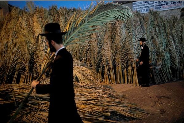 Judeu ultra-ortodoxo constrói um Sukkah, cabana temporária onde se permanence durante o Festival Sukkot, a festa dos tabernáculos quando se comemora o êxodo dos judeus do Egito há 3.200 anos. Em Jerusalém.  por Menahem Kahana/AFP  