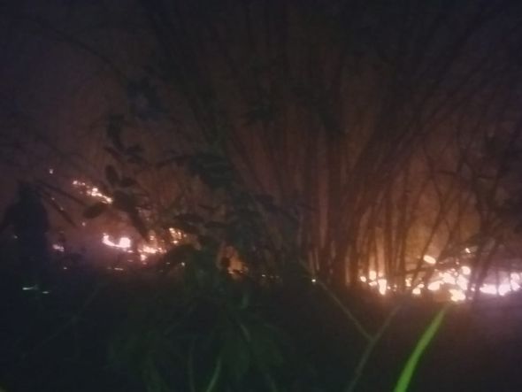Incêndio no ano passado em bambuzal próximo ao terreiro por Foto: Divulgação/Ilê Axé Ici Mimó