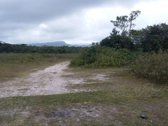 Idoso foi localizado área de mata fechada em São Vicente, SP por Divulgação/Polícia Militar