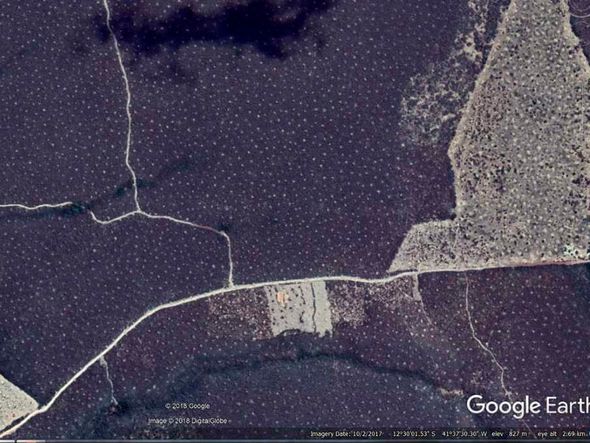Imagem de satélite mostra regularidade de distanciamento entre montículos por Imagem: Google Earth