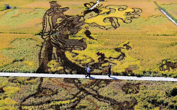  Imagem feita com vários tipos de arroz  na província de Liaoning, na China.  por China Out/AFP