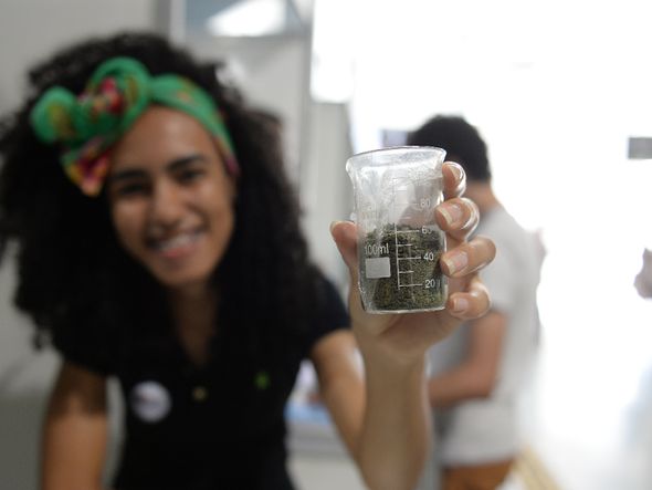 A estudante Cristiane Nogueira apresenta o projeto de plantas medicinais em larvas do mosquito Aedes Aegypti por Foto: Betto Jr.