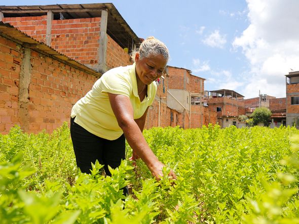 Maria Francisca dos Santos, 57, em seu terreno de quase 4 mil m² em Pernambués por Foto: Marina Silva/CORREIO