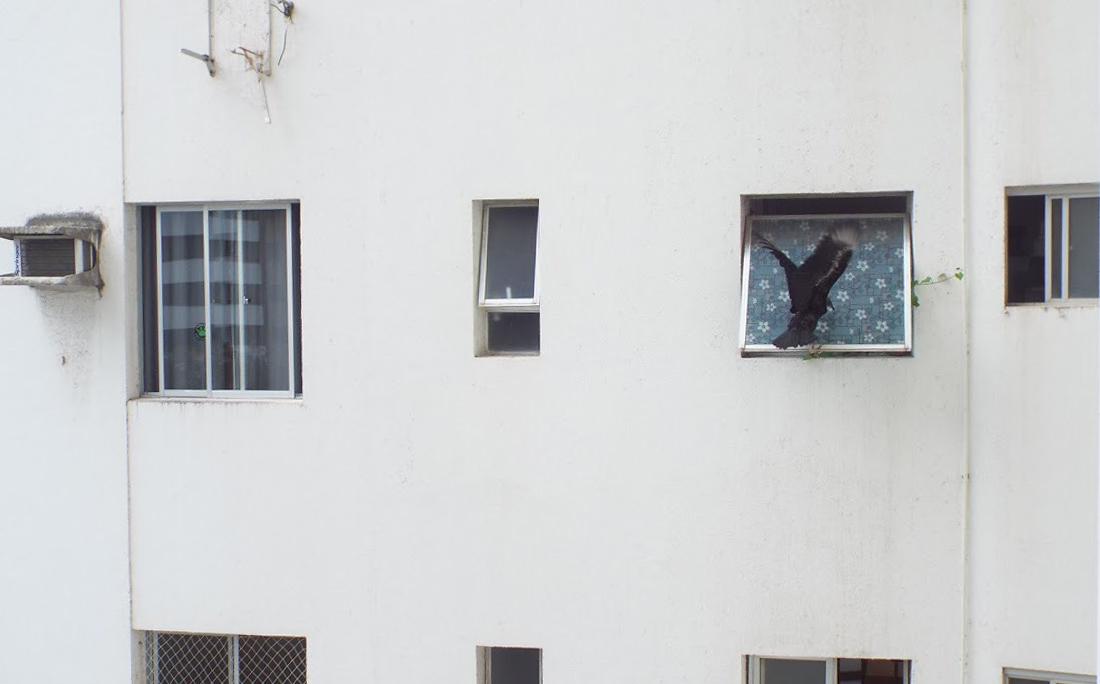 Caçando uma janelinha pra meter as caras, ontem(Foto: Gabriela de Paula)