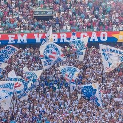 Imagem - STJD pune o Bahia por cânticos homofóbicos em partida contra o Grêmio