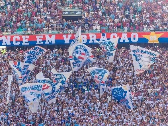 Imagem - STJD pune o Bahia por cânticos homofóbicos em partida contra o Grêmio