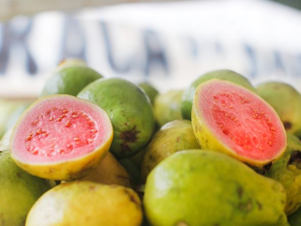 . por Foto: Marina Silva / CORREIO