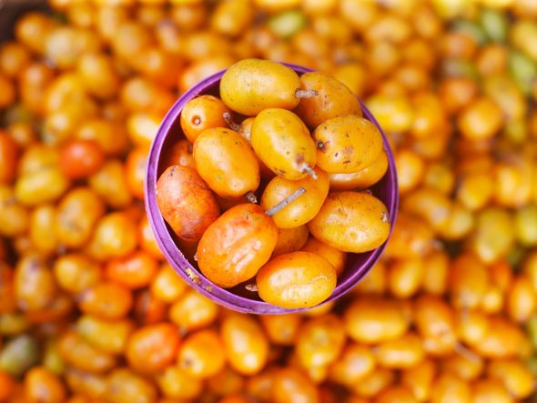 . por Foto: Marina Silva / CORREIO