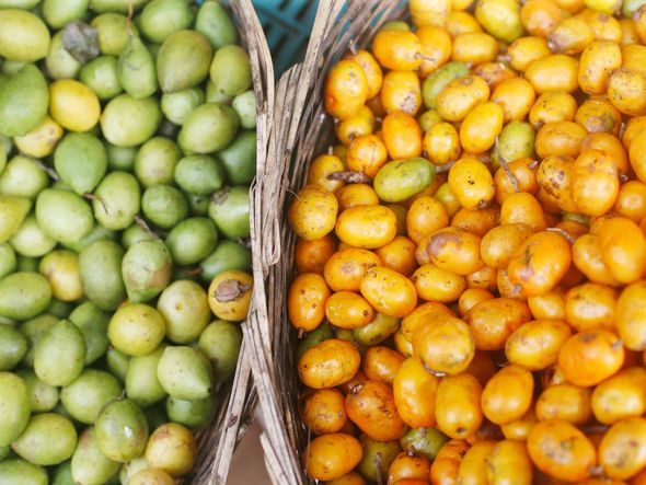 . por Foto: Marina Silva / CORREIO