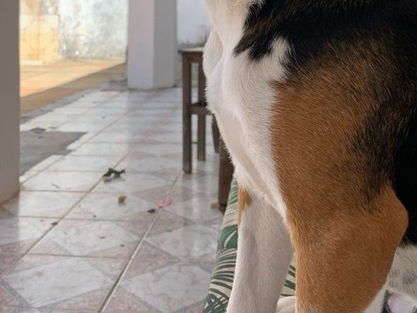 . por Foto: arquivo pessoal