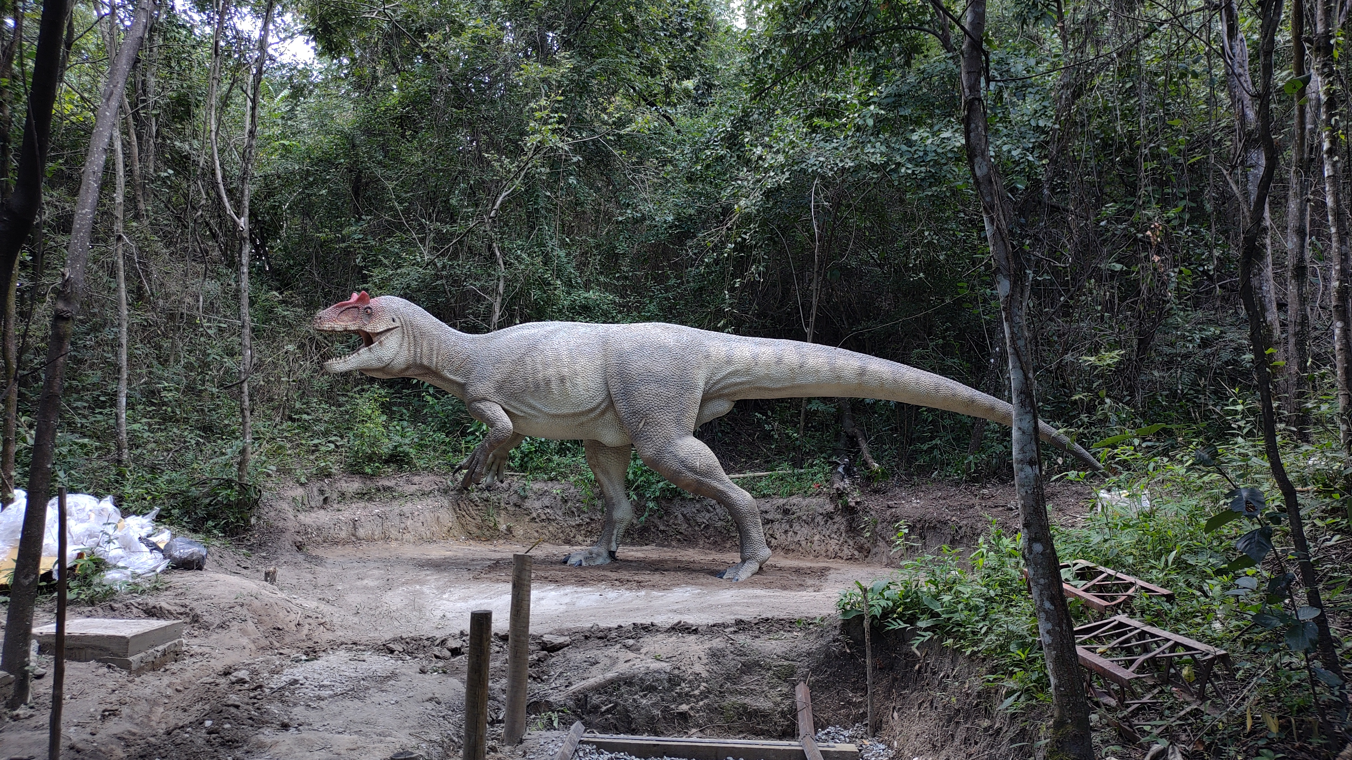 Escultor da região produz dinossauros gigantes no quintal de casa - GMC  Online
