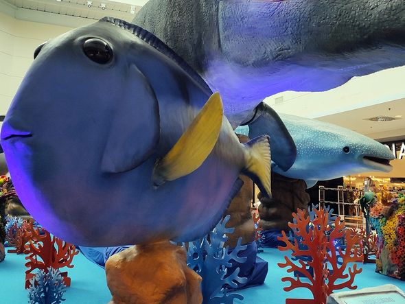 Dory gigante é um dos peixes queridinhos da exposição por Foto: Divulgação