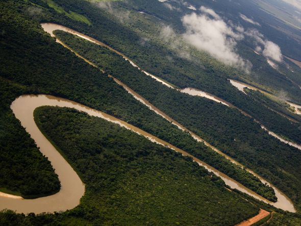 Amazônia Eterna por divulgação