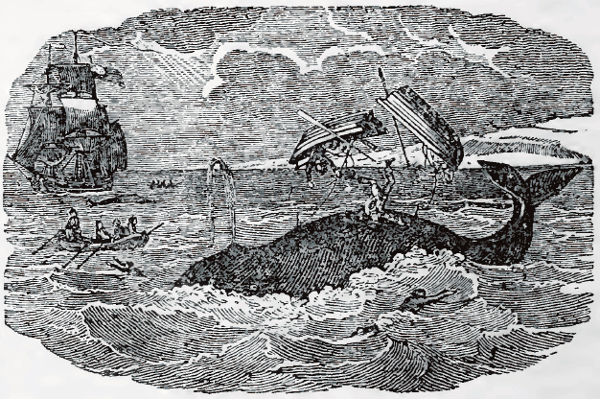 Ilustração de Thomas Teller em Stories About Whale-Catching, datada de 1845 por Foto: Reprodução