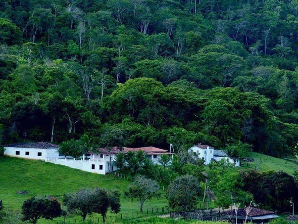 40 hectares de mata nativa foram preservados ao redor do Hotel Fazenda Princesa Ester, em Iguaí. por (Foto; divulgação)