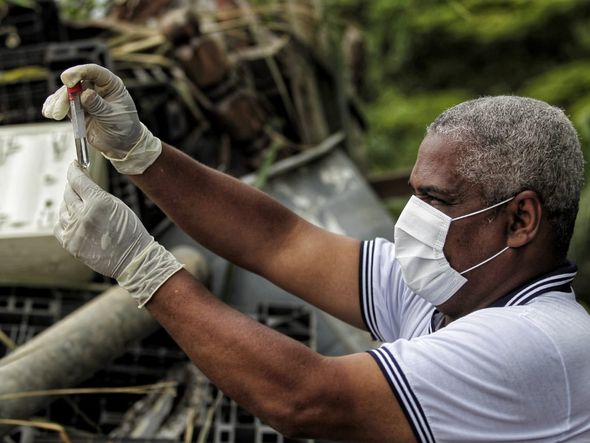 Agente recolhe larvas de mosquito de criadouro por Arrison Marinho/CORREIO