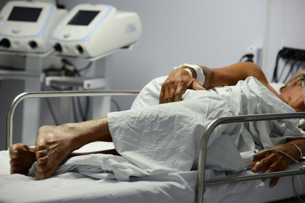 Gripário do Pau Miúdo tem lotação máxima