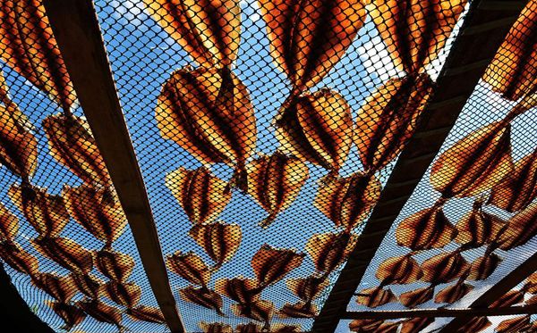 Peixes secos ao sol na cidade de Shenzhen na China por China Out/AFP