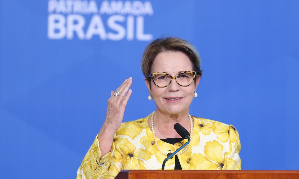 Jornal Correio Grupo Invade Fazenda De Fam Lia Da Senadora Tereza