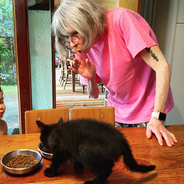 Rita Lee conviveu com muitos bichos no sítio onde morava e escreveu sobre eles em livros infantis por reprodução instagram