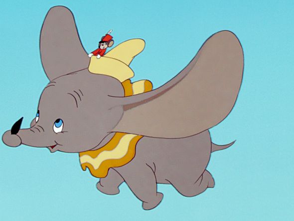Dumbo por divulgação