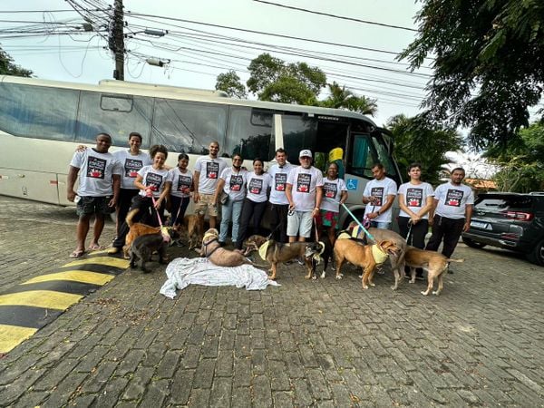 Advogada aluga micro-ônibus na mudança de residência com seus 29 animais de Lauro de Freitas para Chapada 