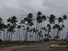 Imagem - Alerta em Salvador: ventos chegam a 40 km/h e previsão indica intensificação